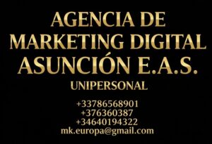 La mejor agencia de marketing digital en Asunción suele ofrecer un servicio 360 enfocado en resultados medibles: atraer clientes, generar ventas y posicionar marcas en Google y redes sociales. ​ Actividades principales Estrategia digital y consultoría Análisis del negocio, competencia y público objetivo. Definición de objetivos, propuesta de valor y roadmap de marketing digital. ​ SEO y posicionamiento en Google SEO on-page (contenidos, estructura web, etiquetas), SEO off-page (enlaces, autoridad), SEO técnico. SEO local y optimización de Google Maps/Google Business Profile. ​ Publicidad online (SEM y Paid Social) Campañas en Google Ads, Facebook Ads, Instagram Ads, TikTok Ads. Optimización continua de anuncios, segmentación y remarketing para maximizar el ROI. ​ Gestión profesional de redes sociales Plan de contenidos, calendario editorial y creación de piezas gráficas y vídeos. Community management, respuesta a comentarios y mensajes, y gestión de campañas de crecimiento. ​ Diseño y desarrollo web Creación de webs corporativas y e‑commerce, enfocadas en conversión y velocidad. Integración con analítica, píxeles de seguimiento y herramientas de automatización. ​ Content marketing e inbound Creación de blogs, newsletters y recursos descargables para captar leads cualificados. Estrategias de nutrición de leads mediante email marketing y automatizaciones. ​ Analítica y optimización continua Configuración de Google Analytics, Tag Manager i dashboards de reporting. Tests A/B y mejoras constantes basadas en datos (CRO). ​