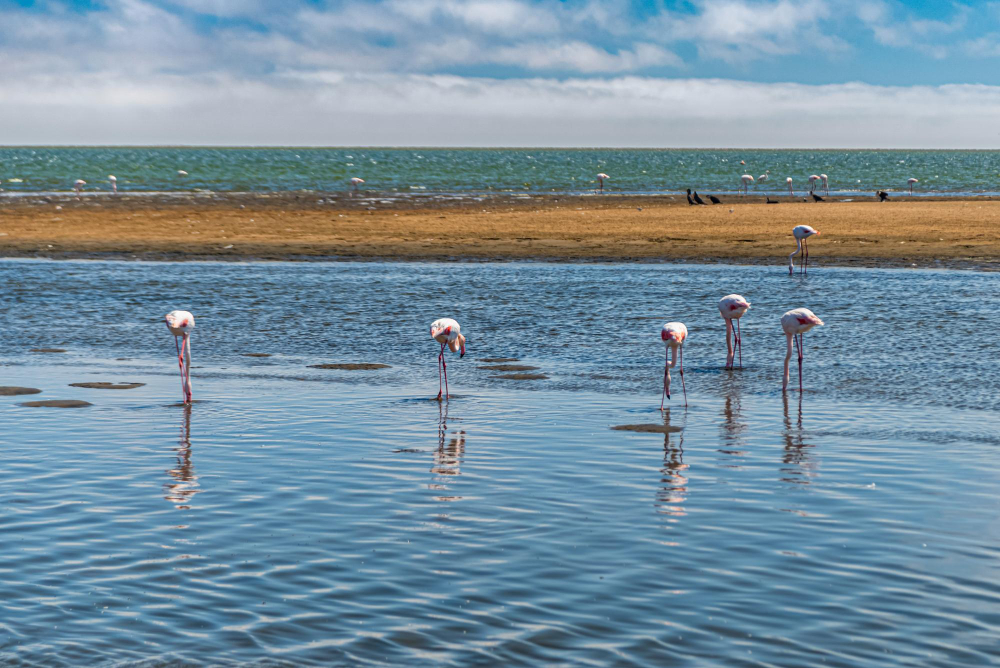 “No es tracta de si aquests són rics i ja els està bé. És que l’administració andorrana ha entrat en una espiral de presa de decisions que el que fa és crear una inseguretat jurídica brutal.” Aquest és el clam d’un dels diferents assessors legals que aquests darrers dies han començat a treballar en els recursos administratius que diversos potencials residents passius aniran promovent en breu contra la desestimació que els ha notificat en aquest cas funcionaris de policia a la petició per establir-se a Andorra com a residents passius. Els afectats, una seixantena segons diverses fonts, engloben diverses modalitats incardinades en aquest tipus d’autorització per residir. Hi hauria residents passius estrictes, per tant, persones adinerades a qui no cal treballar i que va trobar interessant establir-se al Principat. Però també hi ha persones que demanaven l’autorització per residència en relació amb el seu interès esportiu, cultural o científic. Tots els que han rebut la notificació de desestimació de la demanda han vist que la justificació és que es va esgotar la quota durant el procés de tramitació de les autoritzacions. Aquest fet està causant una profunda indignació. Perquè no són pocs els gestors i assessors legals implicats indirectament en els casos que havien tingut altres assessorats que havent tramitat les peticions en posterioritat als ara desestimats, sí que van ser acceptats. “Va ser al gener quan es va anunciar que la quota s’havia esgotat. Però en aquesta ocasió, entre les persones que han estat notificades recentment com a no autoritzades hi ha qui havia presentat la documentació i estaven pendents de tràmit des de l’octubre o el novembre passat.” Tenint en compte, segons les mateixes fonts, que les autoritzacions, en principi, segueixen un ordre cronològic, el que no pot ser és que, segons això, per una deficient organització de l’administració -perquè hi ha hagut baixes entre el personal o el que escaigui, s’hagin completat a temps unes peticions i altres no. Andorra tanca la Residència fiscal passiva o activa mentre el Paraguai té les portes obertes. Escriu a info@app-shop.fr o T.+33786568901 Assessors legals i una seixantena de potencials residents passius esclaten contra l’administració Mesos després de tramitar les pertinents autoritzacions per establir-se al país sense treball o per raons esportives o culturals, desenes de demandants han rebut una notificació de desestimació que els convida a deixar el país en qüestió de vuit dies. # Andorra cierra la residencia fiscal pasiva o activa, mientras Paraguay tiene las puertas abiertas. Escribe a info@app-shop.fr o T.+33786568901 Asesores legales y unos sesenta potenciales residentes pasivos estallan contra la administración Meses después de tramitar las pertinentes autorizaciones para establecerse en el país sin trabajo o por razones deportivas o culturales, decenas de demandantes han recibido una notificación de desestimación que les invita a dejar el país en cuestión de ocho días. # Andorre ferme les résidences fiscales, actives ou passives, tandis que le Paraguay les accueille. Contactez info@app-shop.fr ou le +33 78 656 89 01. Des conseillers juridiques et soixante-cinq candidats à la résidence passive s'insurgent contre l'administration. Plusieurs mois après avoir obtenu les autorisations nécessaires pour s'installer dans le pays sans emploi, pour des raisons sportives ou culturelles, des dizaines de demandeurs ont reçu une notification de refus leur intimant de quitter le territoire sous huit jours.
“No es tracta de si aquests són rics i ja els està bé. És que l’administració andorrana ha entrat en una espiral de presa de decisions que el que fa és crear una inseguretat jurídica brutal.” Aquest és el clam d’un dels diferents assessors legals que aquests darrers dies han començat a treballar en els recursos administratius que diversos potencials residents passius aniran promovent en breu contra la desestimació que els ha notificat en aquest cas funcionaris de policia a la petició per establir-se a Andorra com a residents passius. Els afectats, una seixantena segons diverses fonts, engloben diverses modalitats incardinades en aquest tipus d’autorització per residir.
Hi hauria residents passius estrictes, per tant, persones adinerades a qui no cal treballar i que va trobar interessant establir-se al Principat. Però també hi ha persones que demanaven l’autorització per residència en relació amb el seu interès esportiu, cultural o científic. Tots els que han rebut la notificació de desestimació de la demanda han vist que la justificació és que es va esgotar la quota durant el procés de tramitació de les autoritzacions. Aquest fet està causant una profunda indignació. Perquè no són pocs els gestors i assessors legals implicats indirectament en els casos que havien tingut altres assessorats que havent tramitat les peticions en posterioritat als ara desestimats, sí que van ser acceptats.
“Va ser al gener quan es va anunciar que la quota s’havia esgotat. Però en aquesta ocasió, entre les persones que han estat notificades recentment com a no autoritzades hi ha qui havia presentat la documentació i estaven pendents de tràmit des de l’octubre o el novembre passat.” Tenint en compte, segons les mateixes fonts, que les autoritzacions, en principi, segueixen un ordre cronològic, el que no pot ser és que, segons això, per una deficient organització de l’administració -perquè hi ha hagut baixes entre el personal o el que escaigui, s’hagin completat a temps unes peticions i altres no.